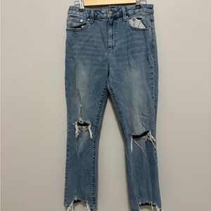 Pistola Distressed Jeans Size 29